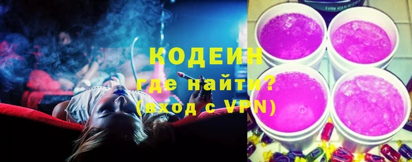 mdpv Вяземский