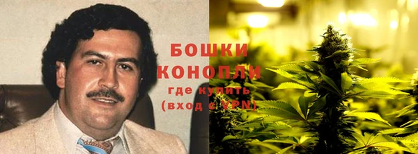 mdpv Вяземский